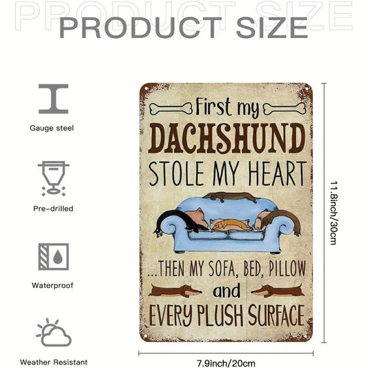 Metal Tin Sign 8''x12'' The Dogs And Its Favorite Couch