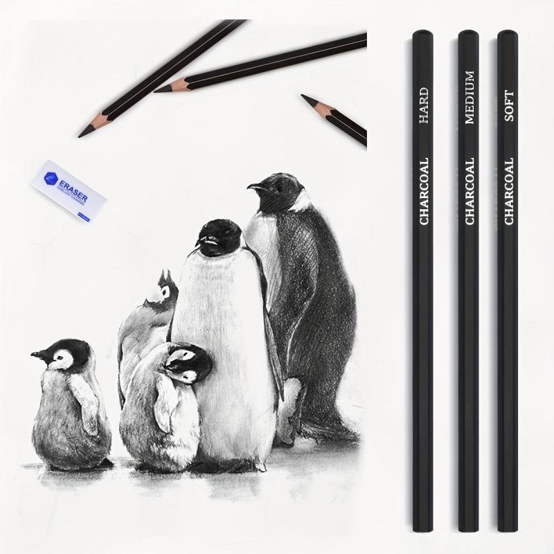 33-Piece Pro Drawing Kit Sketching Pencils Set Travel Case Charcoal Stick
