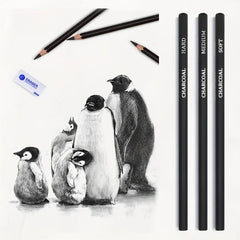 33-Piece Pro Drawing Kit Sketching Pencils Set Travel Case Charcoal Stick
