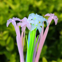 10pcs 0.38mm Flower Gel Rollerball Pens, Ink Changing, School, Home, Office