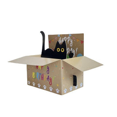 Funny Cat Happy Birthday Pop Up Greeting Card with Envelope