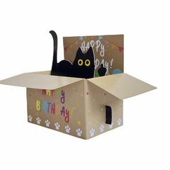 Funny Cat Happy Birthday Pop Up Greeting Card with Envelope