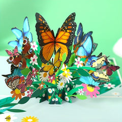 3D Greeting Card For Birthday Anniversary Pop Up With Note Card & Envelope