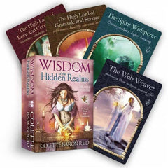 Hidden Realms Oracle Deck & Guidebook Set