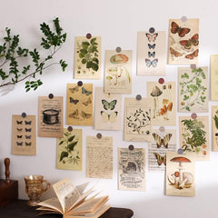 30 Piece Butterfly Leaf Insect Wall Sticker Set for Bedroom Decoration
