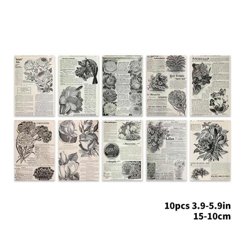 Set of 10 Floral Greeting Cards for Postcards or Wall Decor