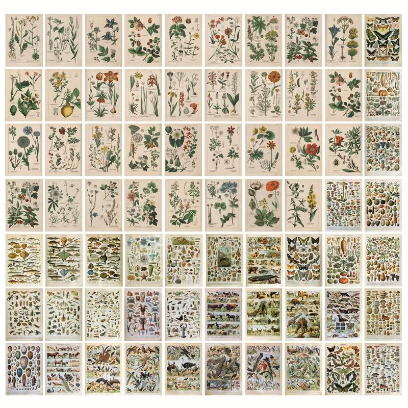 70 Retro Plant Postcard Collage Sets with Animal Pictures for Room Decoration