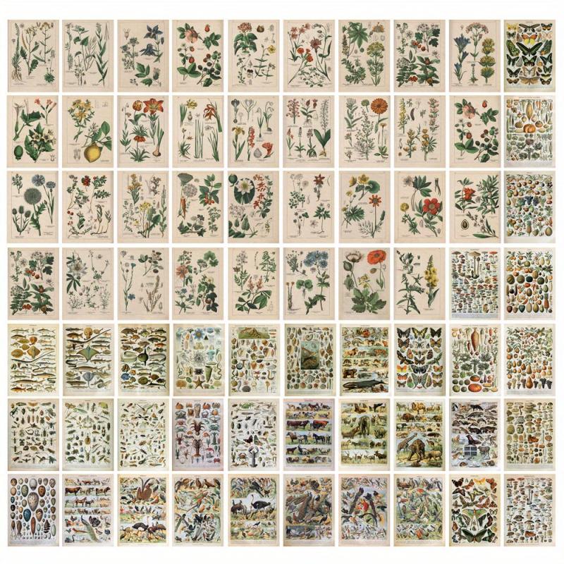 70 Retro Plant Postcard Collage Sets with Animal Pictures for Room Decoration