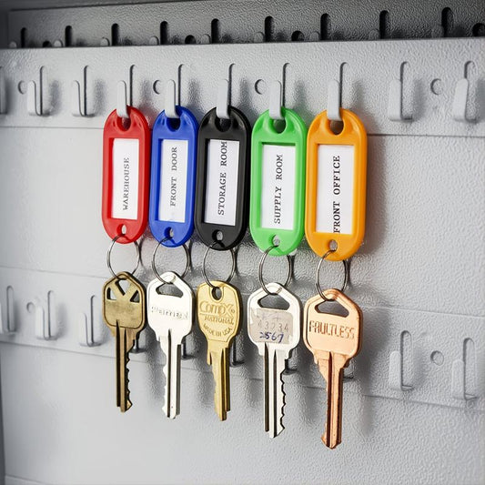 10pcs Colored Key Tags with Labels for Organization