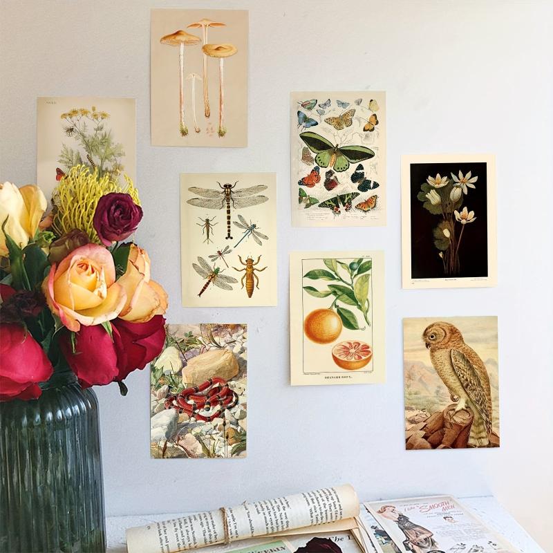 50pcs Vintage Postcard Set Retro Style Plants Butterfly Mushroom Nature