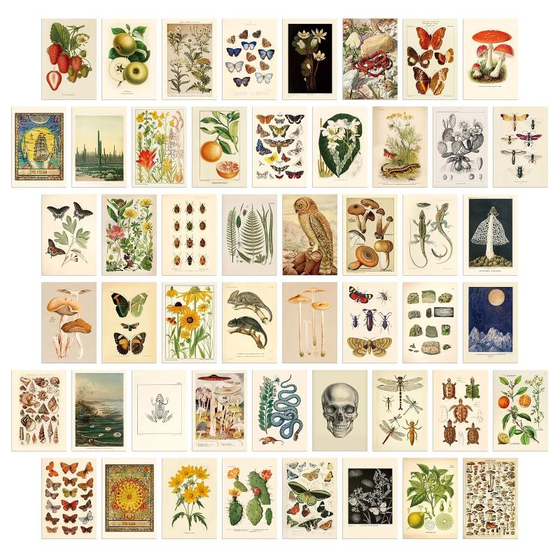 50pcs Vintage Postcard Set Retro Style Plants Butterfly Mushroom Nature