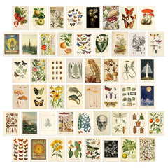 50pcs Vintage Postcard Set Retro Style Plants Butterfly Mushroom Nature
