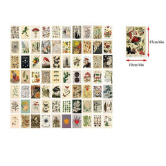 50pcs Vintage Postcard Set Retro Style Plants Butterfly Mushroom Nature