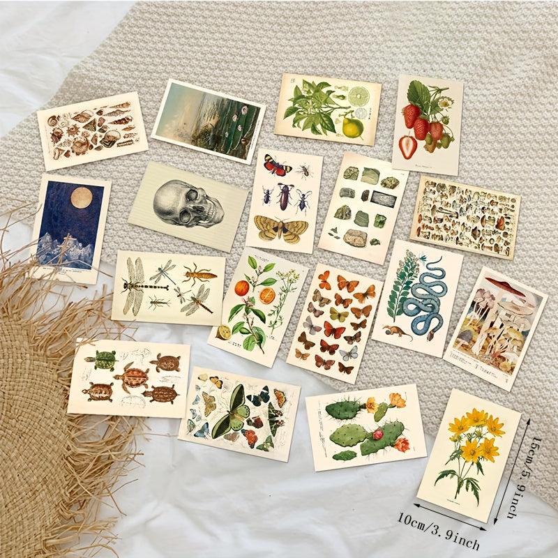 50pcs Vintage Postcard Set Retro Style Plants Butterfly Mushroom Nature