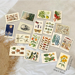 50pcs Vintage Postcard Set Retro Style Plants Butterfly Mushroom Nature