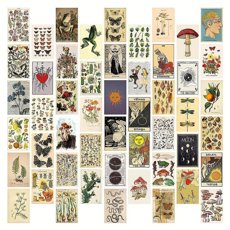 50pcs Vintage Postcard Set Retro Style Plants Butterfly Mushroom Nature