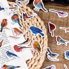 46pcs Birds Waterproof Stickers for Water Bottles Laptop Scrapbook DIY