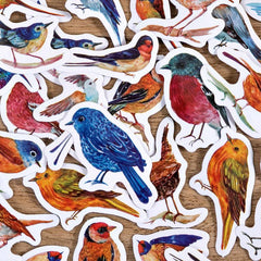46pcs Birds Waterproof Stickers for Water Bottles Laptop Scrapbook DIY