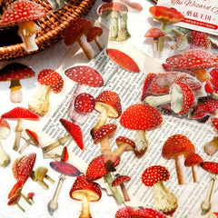 40 Vintage Flower Botanical Stickers for DIY Crafts Scrapbooking