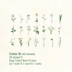 40 Vintage Flower Botanical Stickers for DIY Crafts Scrapbooking