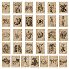 56pcs Creative Non-attribute Small Ticket Series Waterproof Stickers