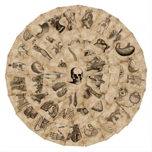 56pcs Skeleton Schematic Stickers for Water Bottles Laptops