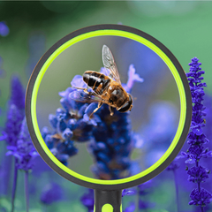 Two-Color Rubber Handle Magnifying Glass HD Elderly Reading Identification