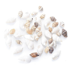 50Pcs Multicolor Conch Shell Beads for Jewelry Making DIY