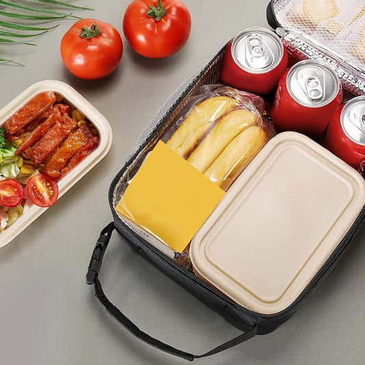 SIAETIUR Insulated Lunch Bag for Men & Women, Square Lunchbox Cooler