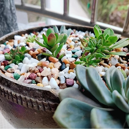 Amethyst Chips Crushed Stones for Positive Energy 0.22lb