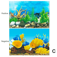 KSY Aquarium Fish Tank Background Decoration Sticker Poster