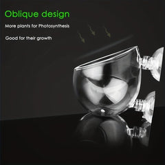 Aquarium Plant Cup Glass Holder with Suction Cups