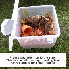 Enhance Pet Breeding: 8 Crawling Pets & Breeding Boxes