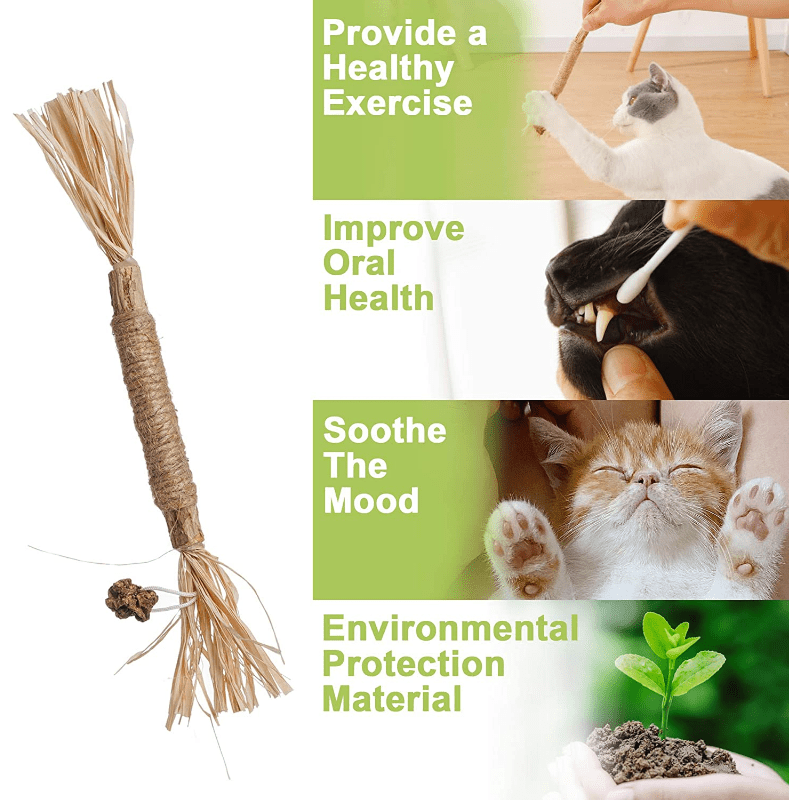 Natural Silvervine Sticks Cat Chew Toy For Kittens Dental Care