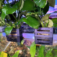 Plastic Hanging Aquarium Plant Holder Cups w/ Holes