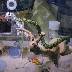 Hermit Crab Climbing Toys Reptile Vines