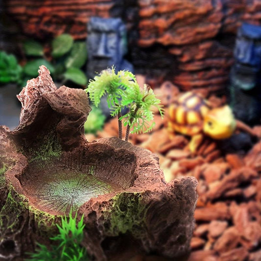 Durable Reptile Feeding Plate with Creative Water Basin
