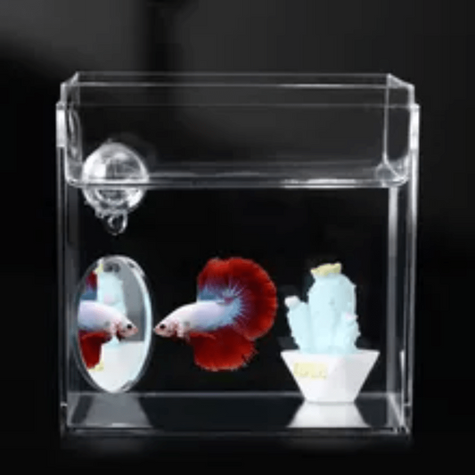 Betta Exercise Mirror Fish Tank Round Mirror For Betta Training