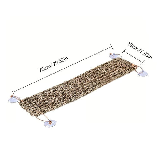 Bearded Dragon Hammock Lizard Lounger with Suction Cup