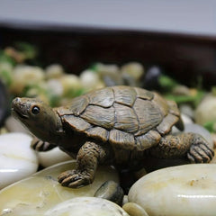 Turtle Resin Statue for Aquarium Decoration Ornament