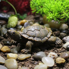 Turtle Resin Statue for Aquarium Decoration Ornament