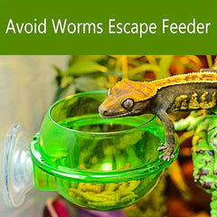 Reptile Suction Cup Feeder Bowl for Crickets Geckos