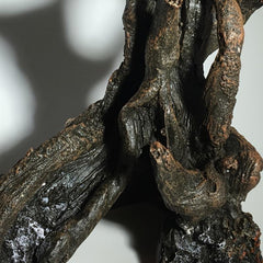 Aquatic Retreat Tree Stump Aquarium Decoration Sunken Wood Fish Hideaway