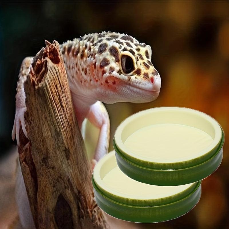 Amphibian Food & Water Feeding Basin Lizard Housekeeping Bowl