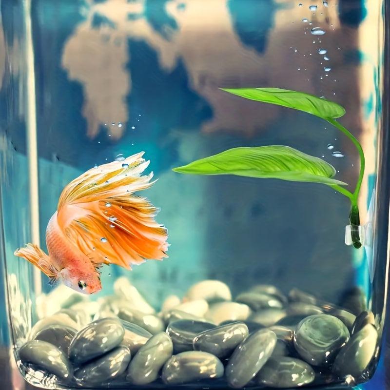 Natural Betta Fish Leaf Pad Aquarium Decor