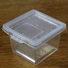 10pcs Insect Spider Terrariums Breeding Box Hatching Container
