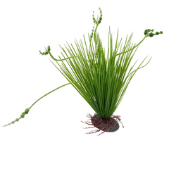 Plastic Simulation Aquatic Plants Aquarium Supplies Landscape Decoration