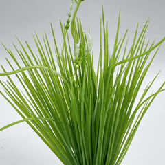 Plastic Simulation Aquatic Plants Aquarium Supplies Landscape Decoration