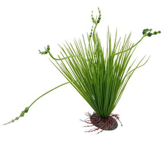 Plastic Simulation Aquatic Plants Aquarium Supplies Landscape Decoration