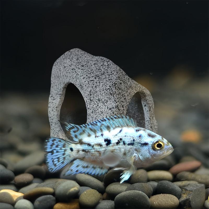 Decorative Aquarium Hideaway Rock Cave